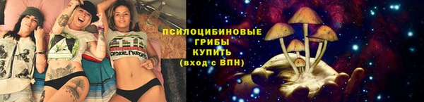 прущий лед Ельня
