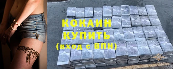 прущий лед Ельня