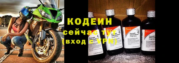 прущий лед Ельня