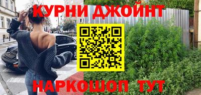 сатива Бузулук