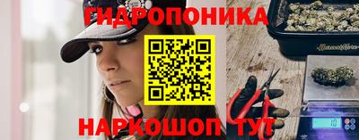 прущие грибы Волжский