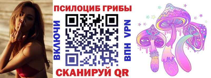 Псилоцибиновые грибы Cubensis  Зеленокумск 