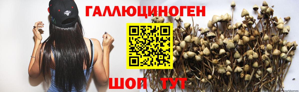 Зеленокумск  Псилоцибиновые грибы Magic Shrooms  Вход с VPN  Галлюциногенные грибы Psilocybine cubensis 